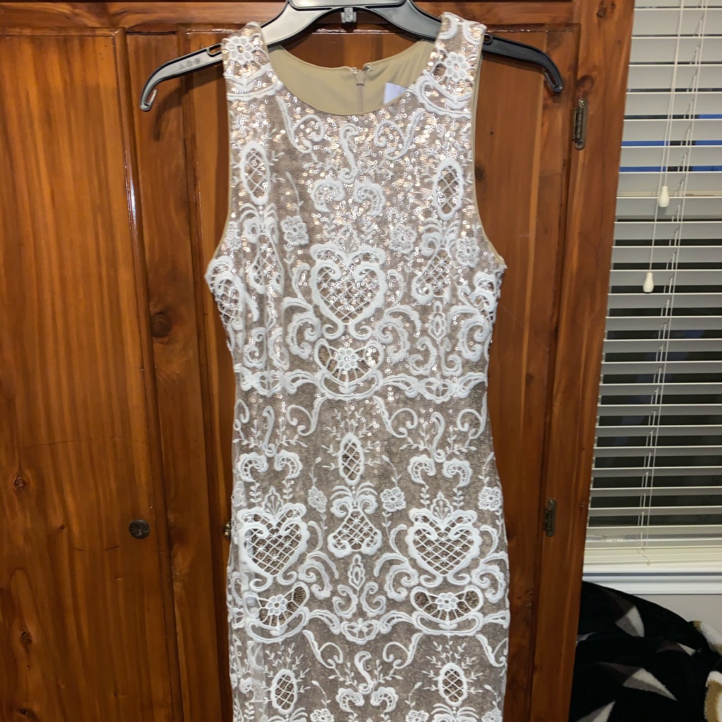 Flash Sale! Belle Badgley Mischka Dress